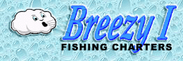 Salmon Charter Fishing Illinois Aboard Breezy I Lake Michigan Salmon and Trout Fishing Charters Fishing from North Point Marina near Chicago Illinois offering Illinois Salmon Charter Fishing reports.