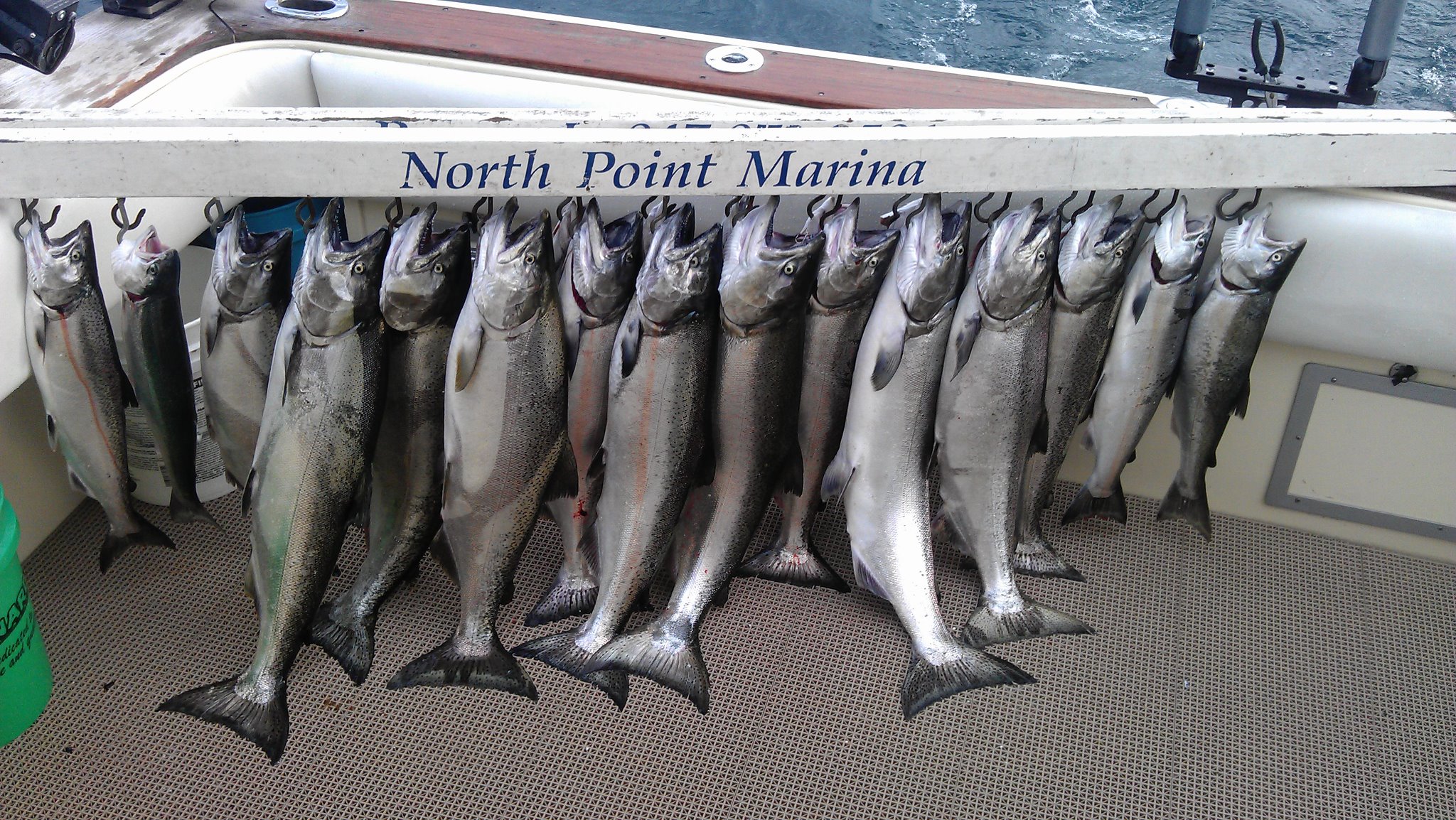 chicagoland area fishing at its best for salmon