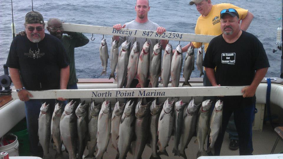 fb_fish6