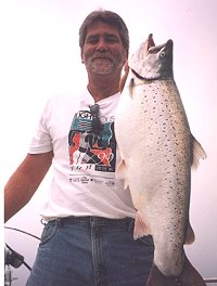 lake michigan brown trout