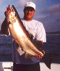 racine salmon charter boat