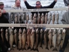 chicago salmon and trout charter boat
