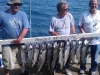 chicago salmon charter fishing