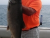 lake michigan trout charter