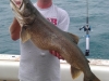 lake michigan trout fishing