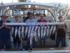 salmon and trout charter boat