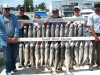 limit catches of salmon and trout lake michigan