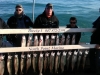 Winthrop Harbor salmon charter boat catch