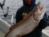 Lake Michigan Lake trout and salmon charter