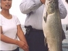 western shores of lake michigan salmon charter