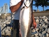 lake michigan chicago area salmon