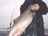 northern illinois salmon fishing