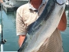 lake michigan rainbow trout