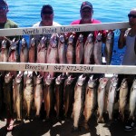 salmopn and trout lake michigan charter